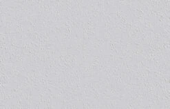 6 Rollen Erfurt Variovlies Style Tapete Glattvlies 90m² 15 6 Rollen Erfurt Variovlies Style Tapete Glattvlies 90m² -Orex Verkäufe 1 Karton Erfurt Variovlies Style Struktur Tapete G