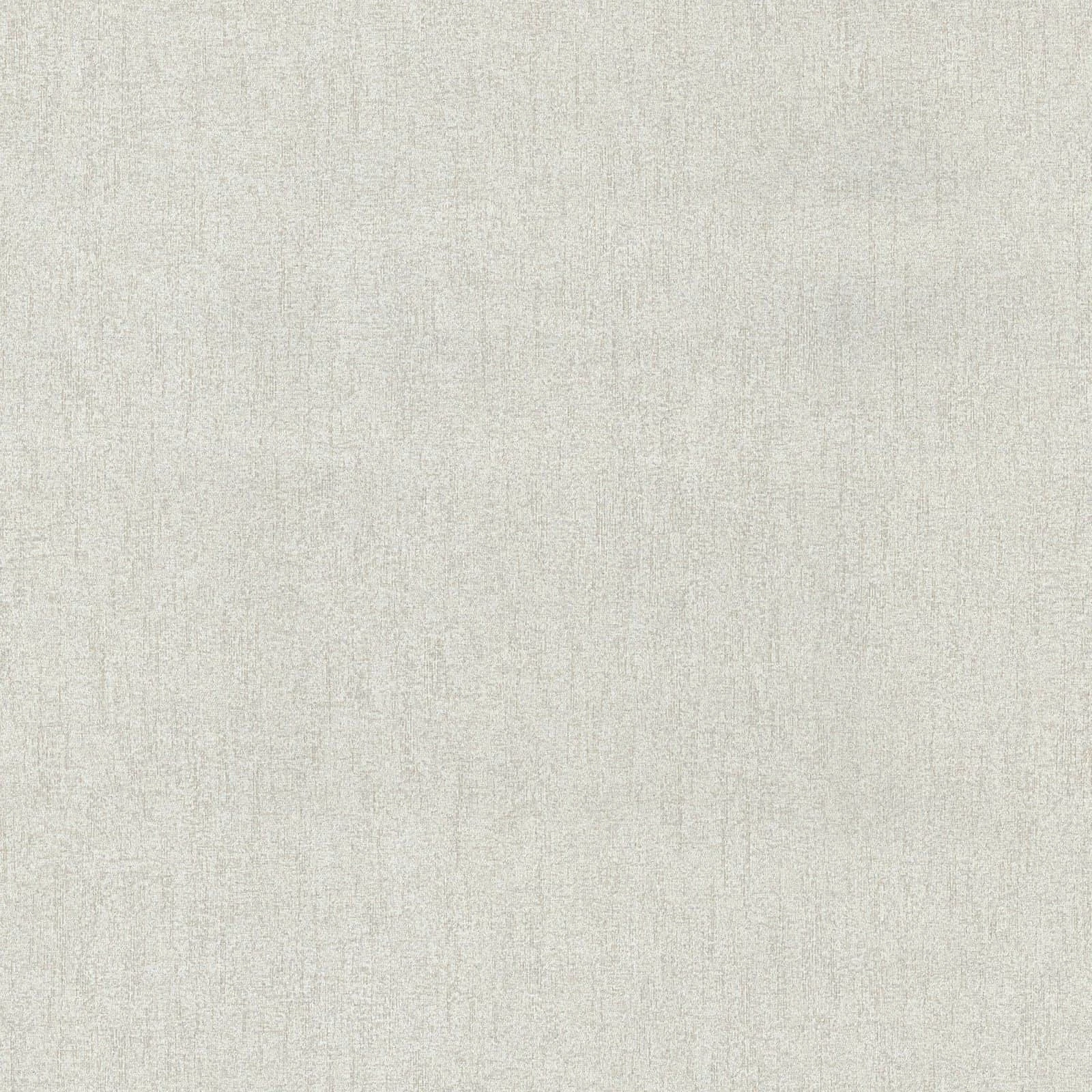 Dieter Bohlen Tapete Vlies Uni Creme 02425-40 3 Dieter Bohlen Tapete Vlies Uni Creme 02425-40