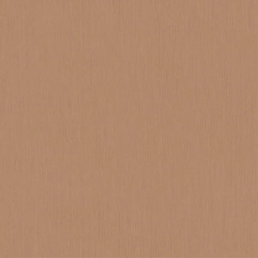 Dieter Langer Tapete Vlies Strié Struktur Beige-braun 58815 3 Dieter Langer Tapete Vlies Strié Struktur Beige-braun 58815