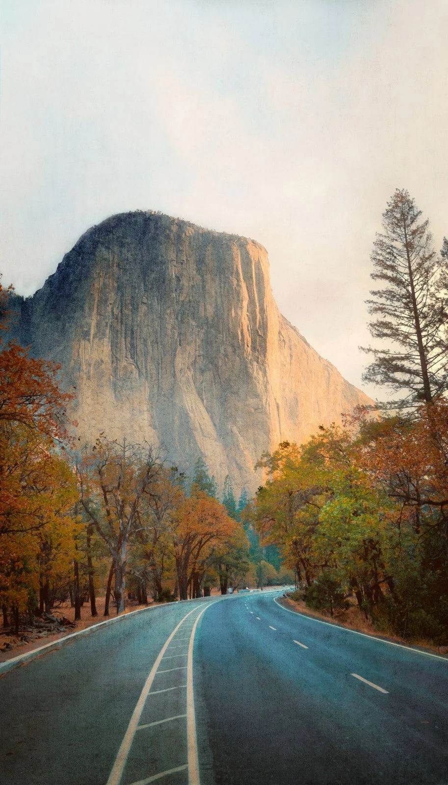 Digitaldruck Herbst Landschaft Grau Orange ML1201 4 Digitaldruck Herbst Landschaft Grau Orange ML1201 – Bild 2