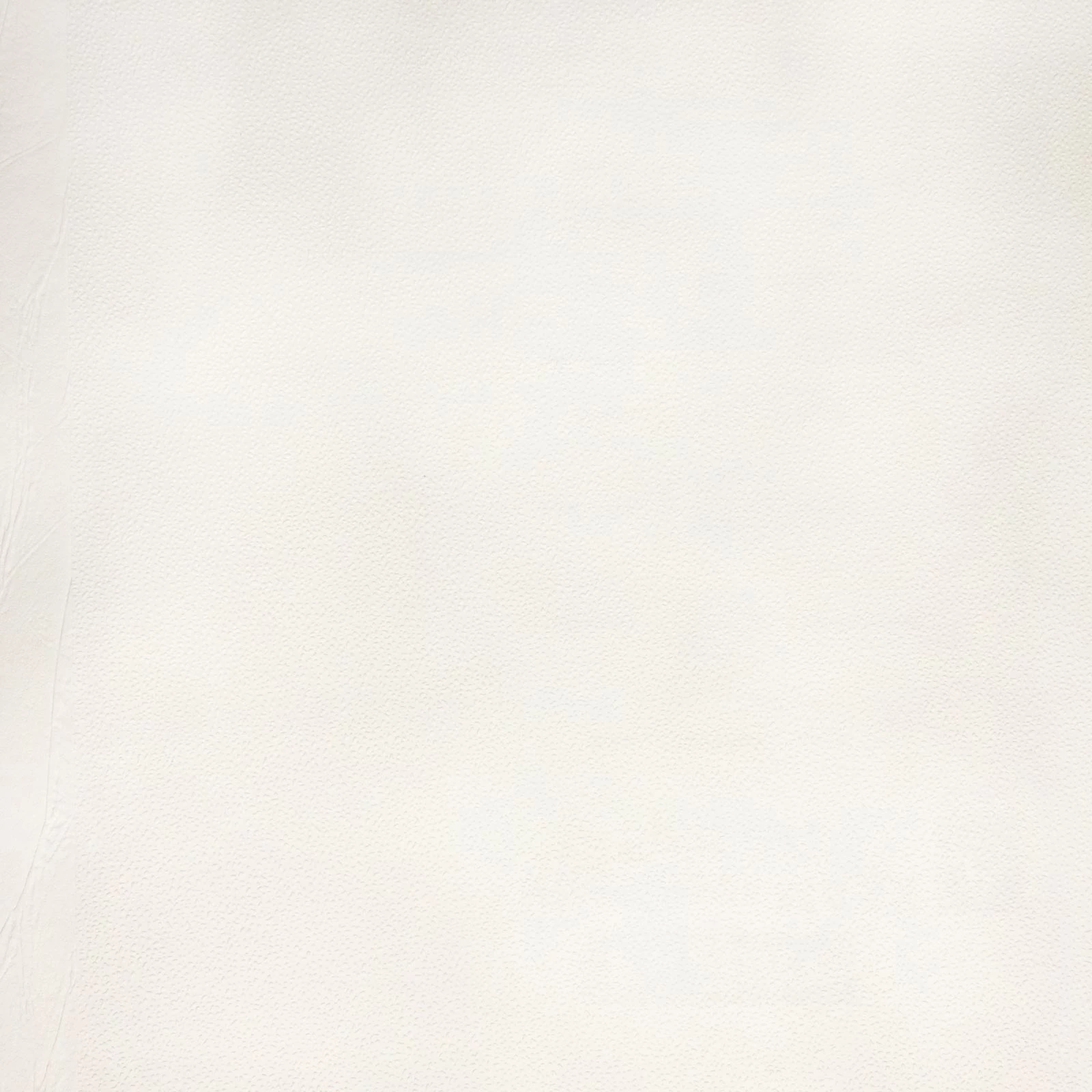 9 Rollen Erfurt Vliesfaser Maxx Spot 222 Premium 59,63m² 6 9 Rollen Erfurt Vliesfaser Maxx Spot 222 Premium 59,63m² – Bild 4