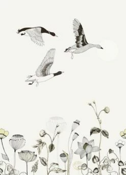 Fototapete Natur Blumen Creme Schwarz Onszelf 532005 5 Fototapete Natur Blumen Creme Schwarz Onszelf 532005 -Orex Verkäufe Fototapete Natur Blumen creme schwarz Onszelf 5320