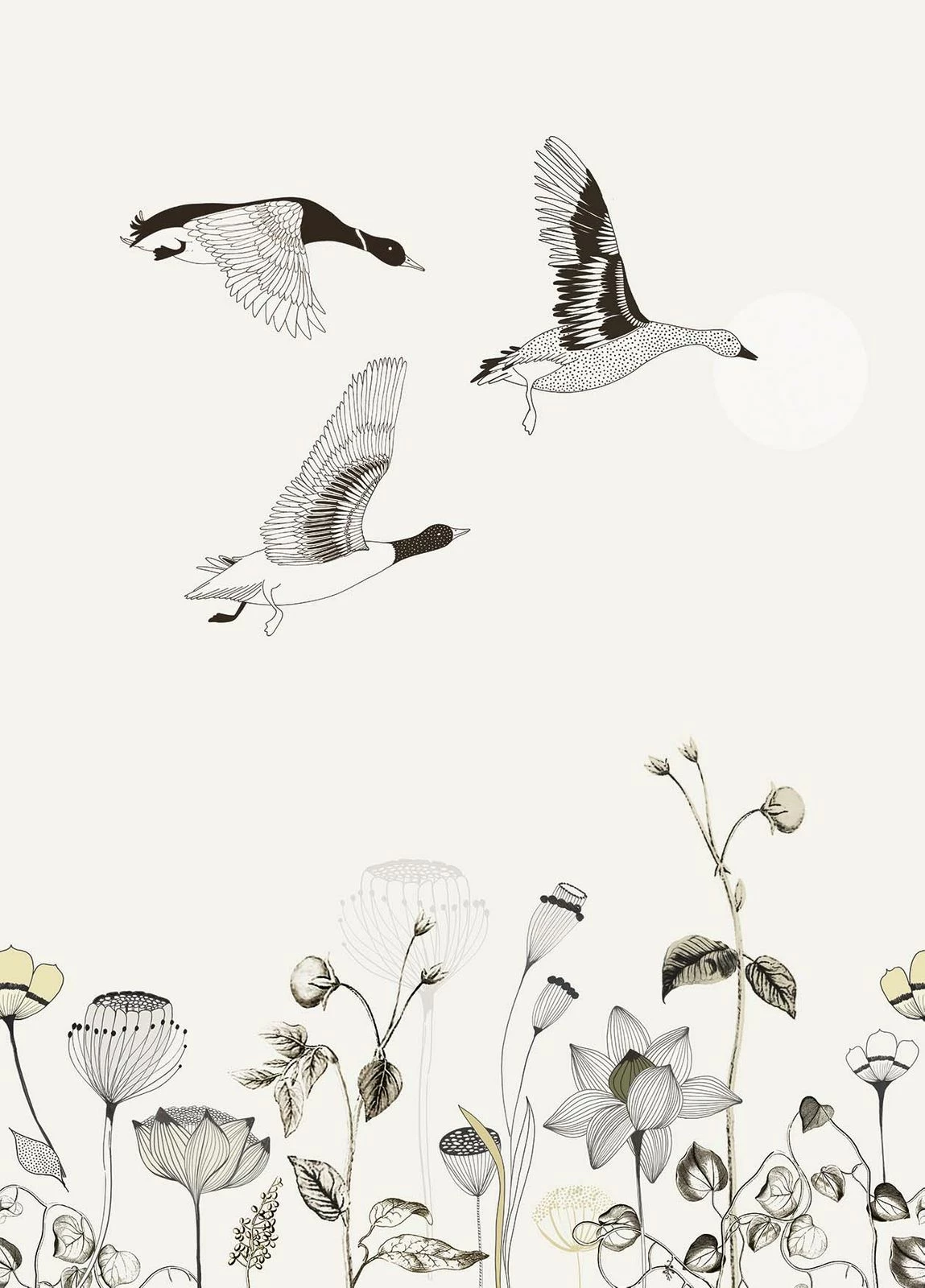 Fototapete Natur Blumen Creme Schwarz Onszelf 532005 4 Fototapete Natur Blumen Creme Schwarz Onszelf 532005 – Bild 2