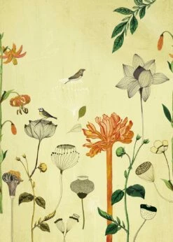 Fototapete Natur Vogel Gelb Orange Onszelf 532036 -Orex Verkäufe Fototapete Natur Vogel Gelb orange Onszelf 53203 1