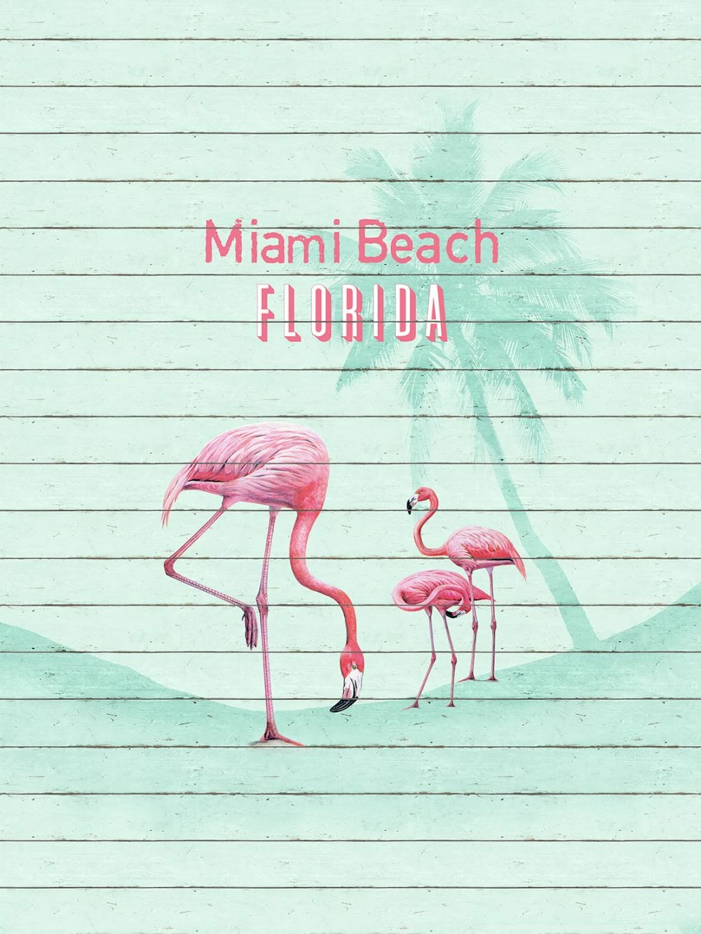 Fototapete Vlies Flamingo Miami Beach Florida 225x300cm 3 Fototapete Vlies Flamingo Miami Beach Florida 225x300cm