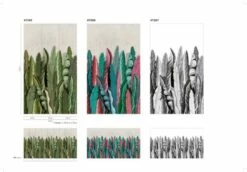 Fototapete Vlies Floral Pop-Art Blätter Grau Weiß 47207 7 Fototapete Vlies Floral Pop-Art Blätter Grau Weiß 47207 -Orex Verkäufe Fototapete Vlies Floral Pop Art Blaetter grau weiss 47207 63210658 2