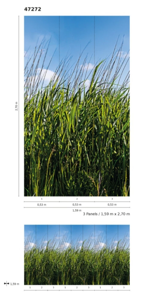 Fototapete Vlies Grashalme Wiese Floral Grün Blau 47272 5 Fototapete Vlies Grashalme Wiese Floral Grün Blau 47272 – Bild 3