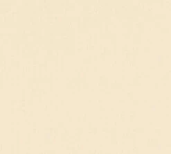 Karl Lagerfeld Designer Vliestapete Unitapete