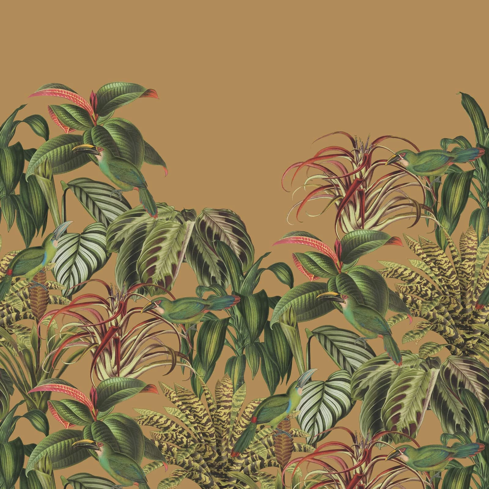 Fototapete Barbara Home Collection Vögel Dschungel Cognac 3 Fototapete Barbara Home Collection Vögel Dschungel Cognac