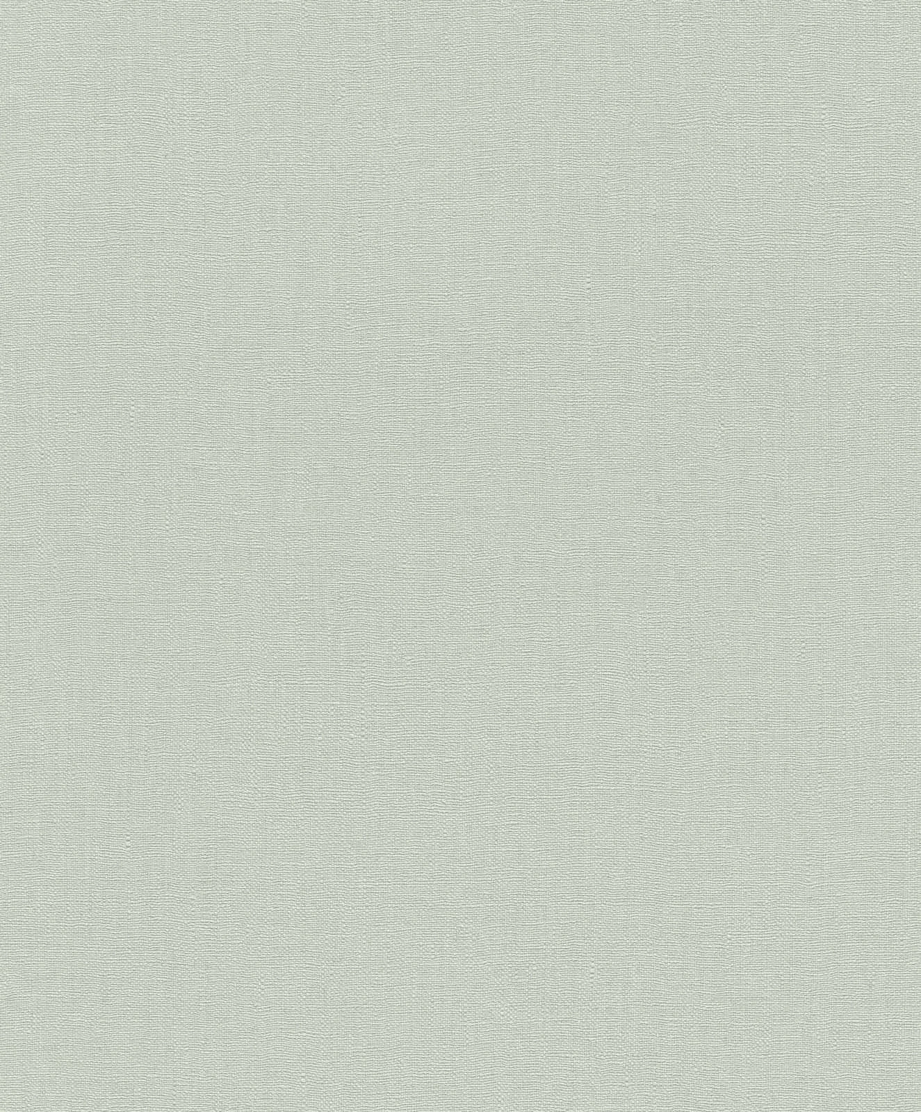 Tapete Barbara Home Collection Einfarbig Hellgrün 5 Tapete Barbara Home Collection Einfarbig Hellgrün – Bild 3