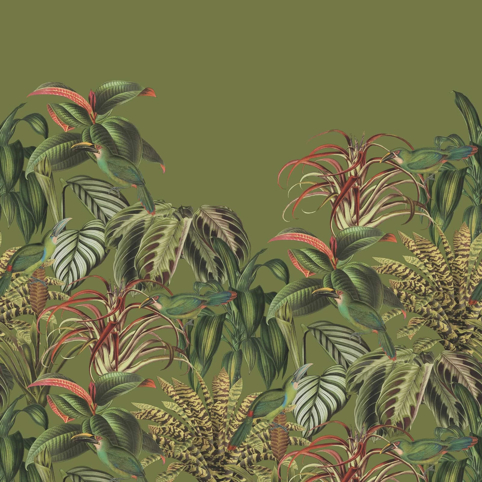 Fototapete Barbara Home Collection Vögel Dschungel Kaki 3 Fototapete Barbara Home Collection Vögel Dschungel Kaki