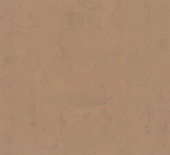 Papis Loveday Tapete 86739 Struktur Orange Platin 15 Papis Loveday Tapete 86739 Struktur Orange Platin -Orex Verkäufe Tapete Papis Loveday Orange Platin Grafik 86739 63213094