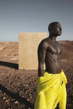 Papis Loveday Tapete 86729 Schraffur Orange Platin -Orex Verkäufe Tapete Papis Loveday Orange Platin Struktur 86729 63213084 2