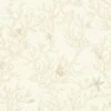 Versace Home Tapete Korallen Muscheln Beige Creme 34496-1 -Orex Verkäufe Tapete Versace Home Korallen Meer beige creme 3449
