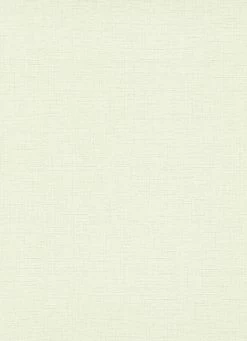 Tapete Vlies 10140-01 Einfarbig Weiß Grau 9 Tapete Vlies 10140-01 Einfarbig Weiß Grau -Orex Verkäufe Tapete Vlies 10140 01 Einfarbig pastellgruen 63205524