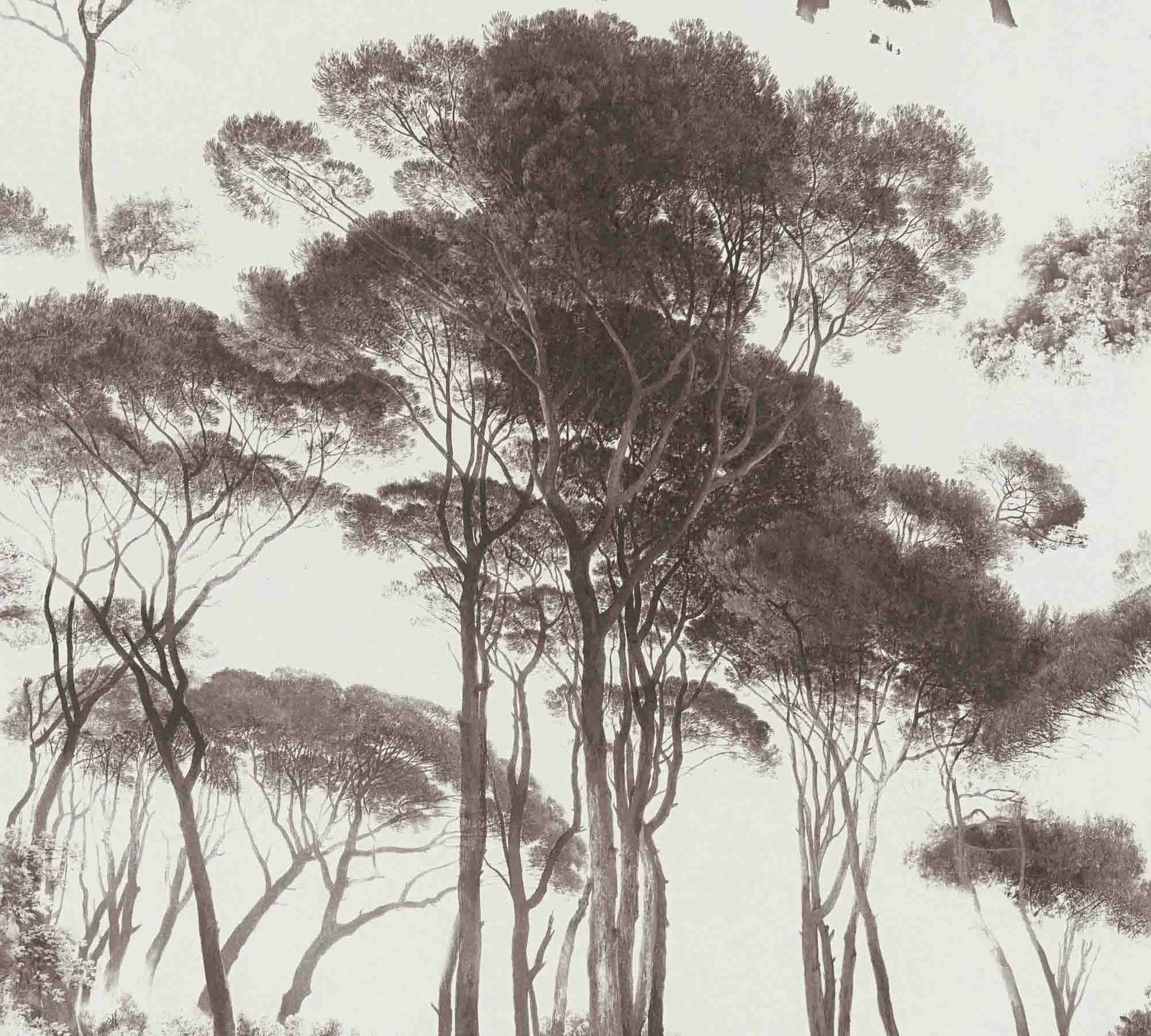 Tapete Vlies Bäume Strukturiert Weiß Braun 37651-1 4 Tapete Vlies Bäume Strukturiert Weiß Braun 37651-1 – Bild 2