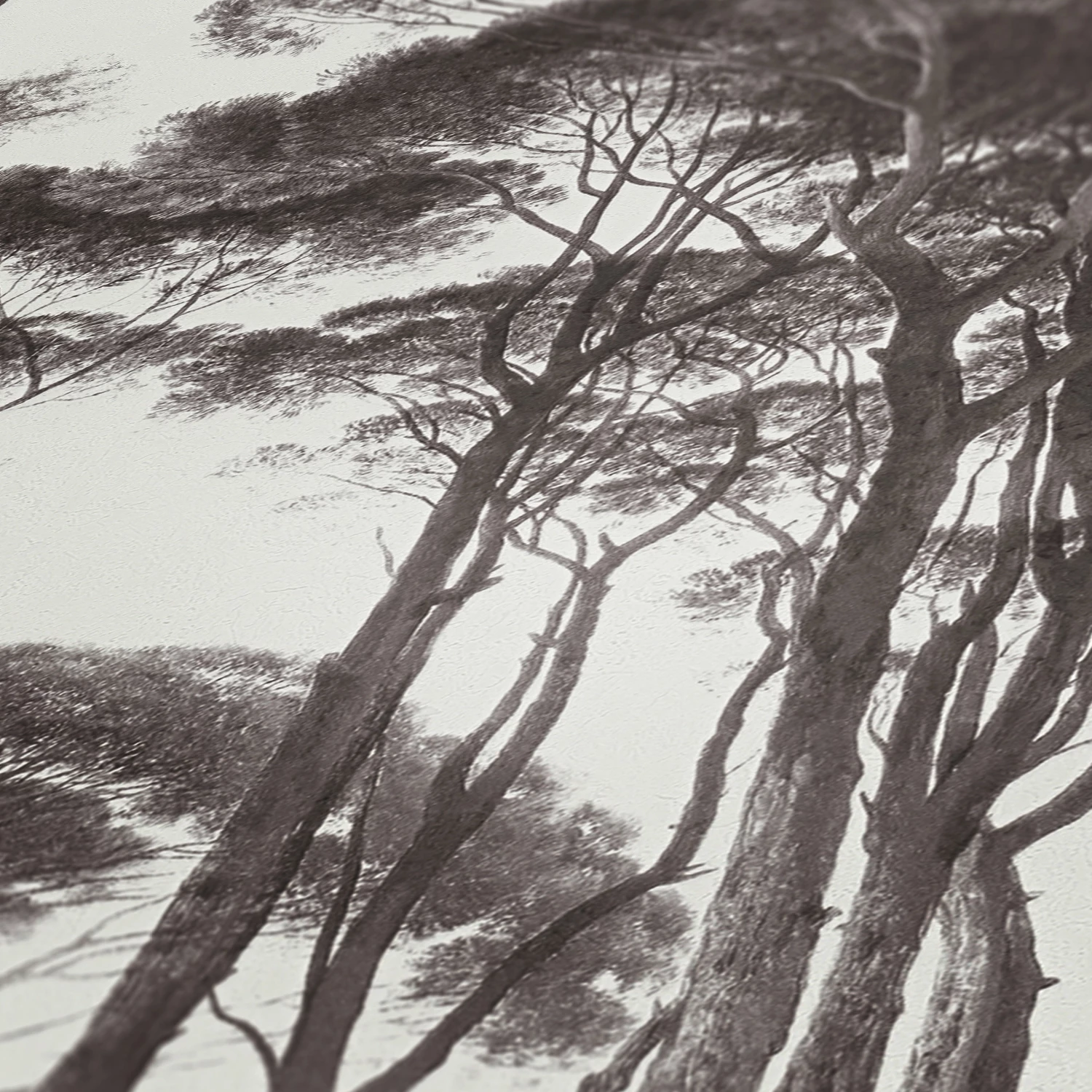 Tapete Vlies Bäume Strukturiert Weiß Braun 37651-1 5 Tapete Vlies Bäume Strukturiert Weiß Braun 37651-1 – Bild 3