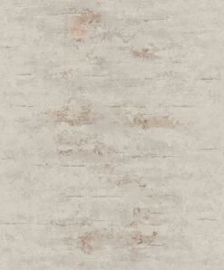 Tapete Vlies Beton Used Grau Kupfer Metallic ON4202