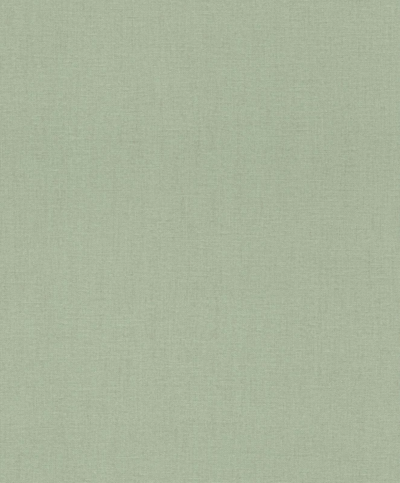 Tapete Vlies Rasch Uni Textil Grün 484588 3 Tapete Vlies Rasch Uni Textil Grün 484588