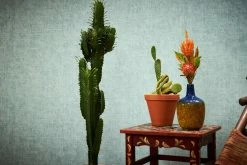 Tapete Vlies Struktur Einfarbig Pastelltürkis 37423-3 10 Tapete Vlies Struktur Einfarbig Pastelltürkis 37423-3 -Orex Verkäufe Tapete Vlies Struktur Einfarbig pastelltuerkis 37423 3 63202527