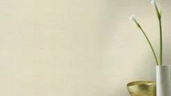 Tapete Vlies Uni Textilstruktur Beige Rasch 700442 8 Tapete Vlies Uni Textilstruktur Beige Rasch 700442 -Orex Verkäufe Tapete Vlies Uni Textilstruktur beige Rasch 700442 63208701 1