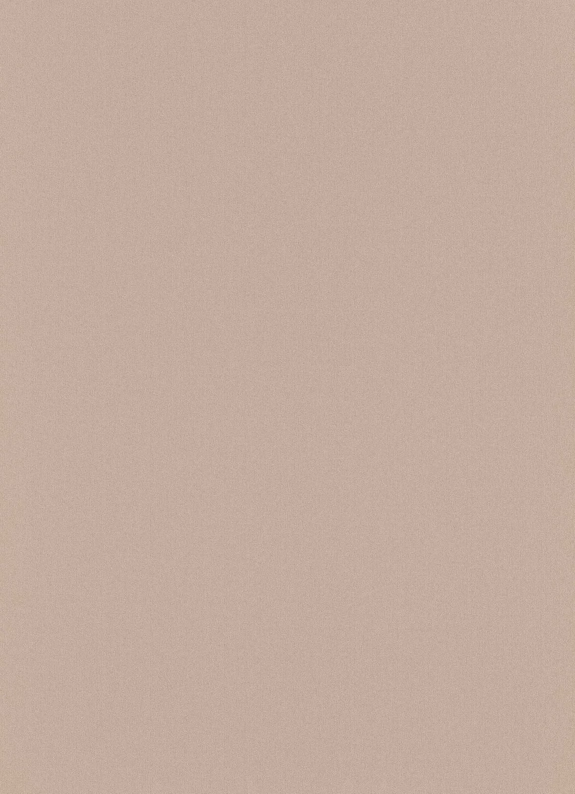 Vinyltapete Einfarbig Struktur Braun Palais Royal 6381-11 3 Vinyltapete Einfarbig Struktur Braun Palais Royal 6381-11