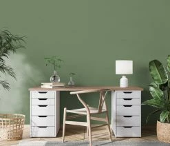 Vliestapete Uni Grün Erismann 10262-07 Casual Chic 13 Vliestapete Uni Grün Erismann 10262-07 Casual Chic -Orex Verkäufe Vliestapete Erismann 10262 07 Uni Gruen 63213926 4