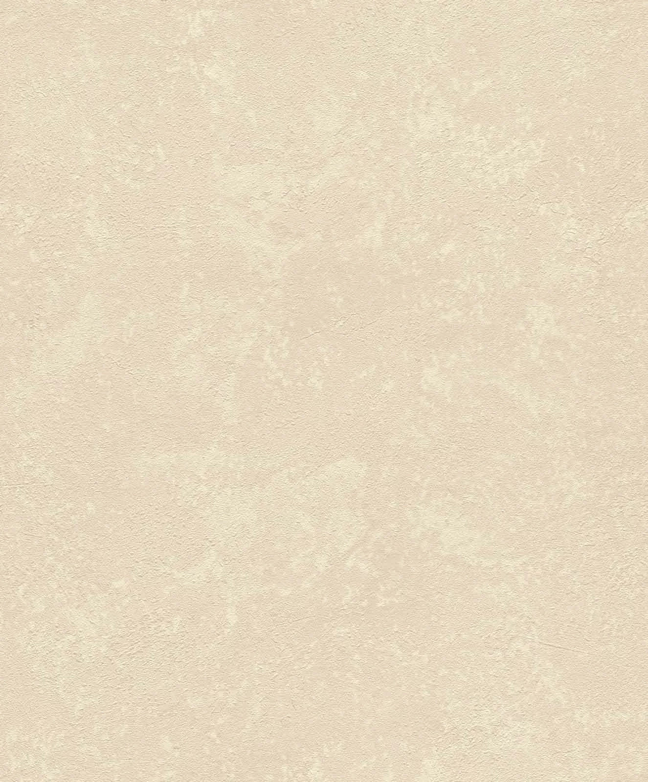 Rasch Vliestapete 315134 Uni Struktur Beige Metallic 3 Rasch Vliestapete 315134 Uni Struktur Beige Metallic