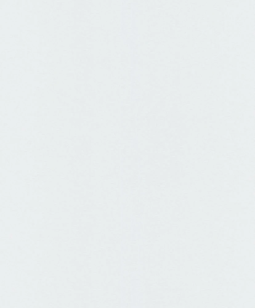 Vliestapete Uni Metallic Effekt Weiß JF1215 Grandeco 3 Vliestapete Uni Metallic Effekt Weiß JF1215 Grandeco