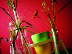 Tapete Vlies Kratzputz AS Creation 1035-12 7 Tapete Vlies Kratzputz AS Creation 1035-12 -Orex Verkäufe ueberstreichbare Vliestapete Struktur abstrak 1